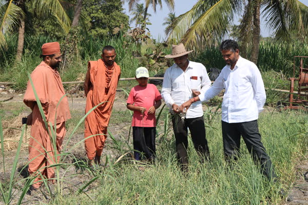 Saints and farmers reviewing natural farming crops at Nilkanthdham