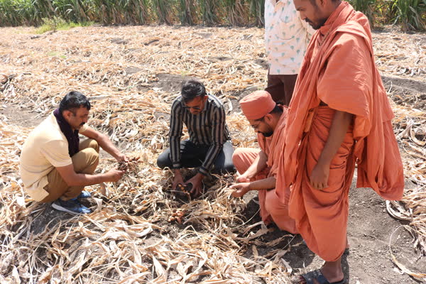 Hands-on soil and mulching instruction during a natural farming session