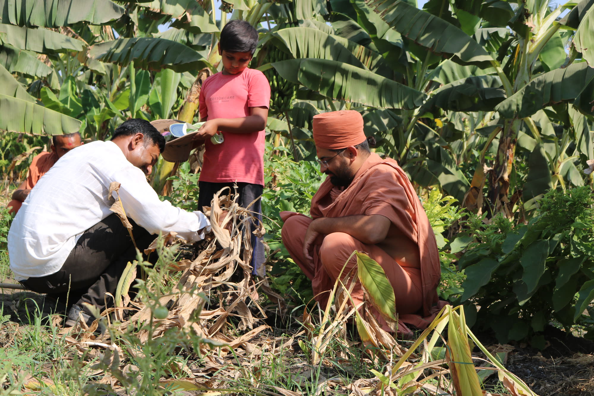 Natural farming guidance and crop inspection at Nilkanthdham